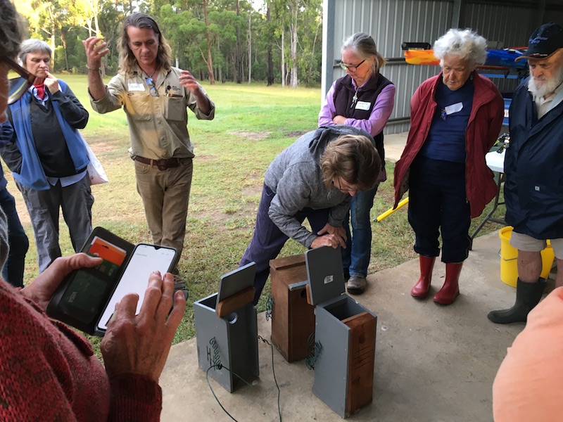 Large Forest Owls Project workshop and wrap-up